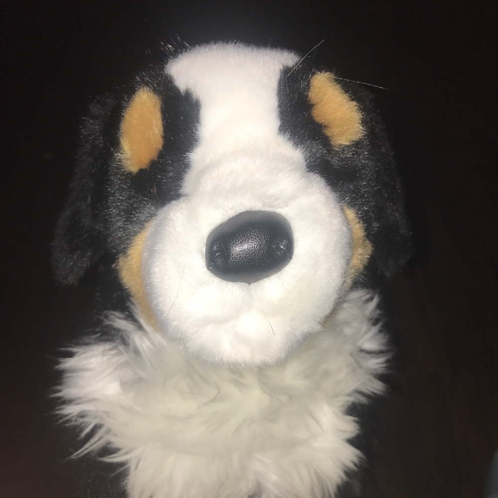 Idk what type of dog this is I forgot but uhm it is a stuffed animal with boxers